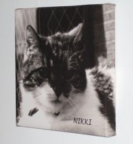 24″ Square Size Canvas