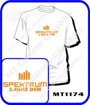 Spektrum 2.4 DSM